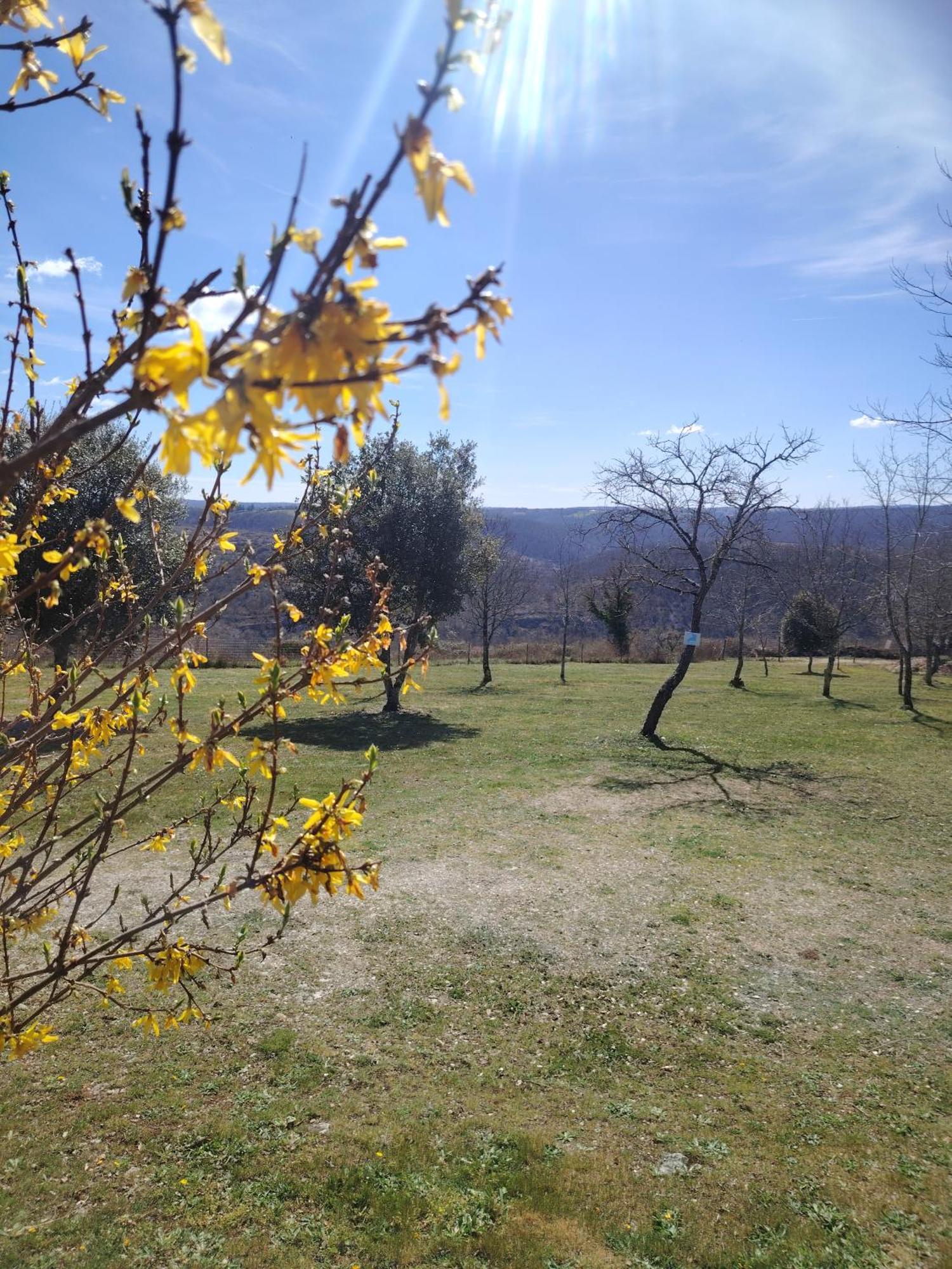 Gites Des Deux Vallees La Borieta Du Causse - Rocamadour Εξωτερικό φωτογραφία
