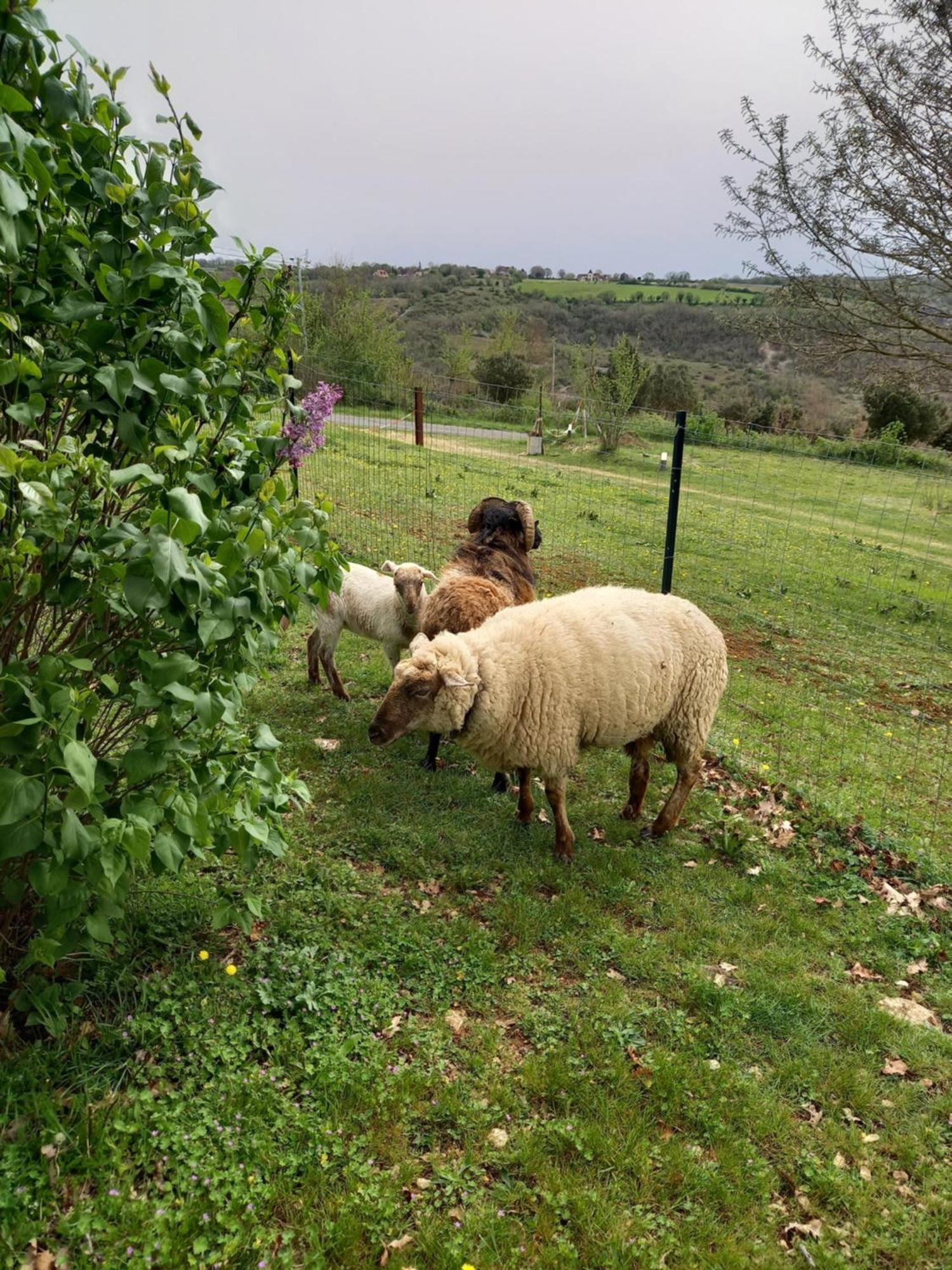Gites Des Deux Vallees La Borieta Du Causse - Rocamadour Εξωτερικό φωτογραφία